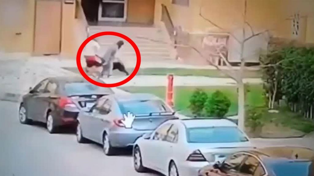  &iexcl;Video Desesperante! Mira como estas mujeres salvan al ni&ntilde;o del ataque de dos perro 
