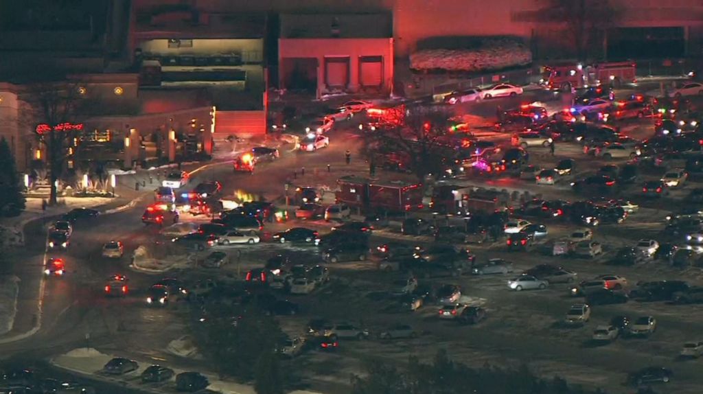  Video:La Polic&iacute;a rodea un centro comercial mientras los clientes huyen del lugar en p&aacute;nico en EE.UU. 