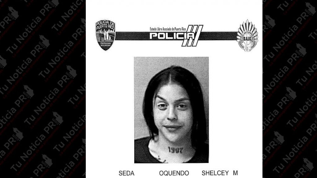  Arrestada en Camuy con una pistola y drogas 