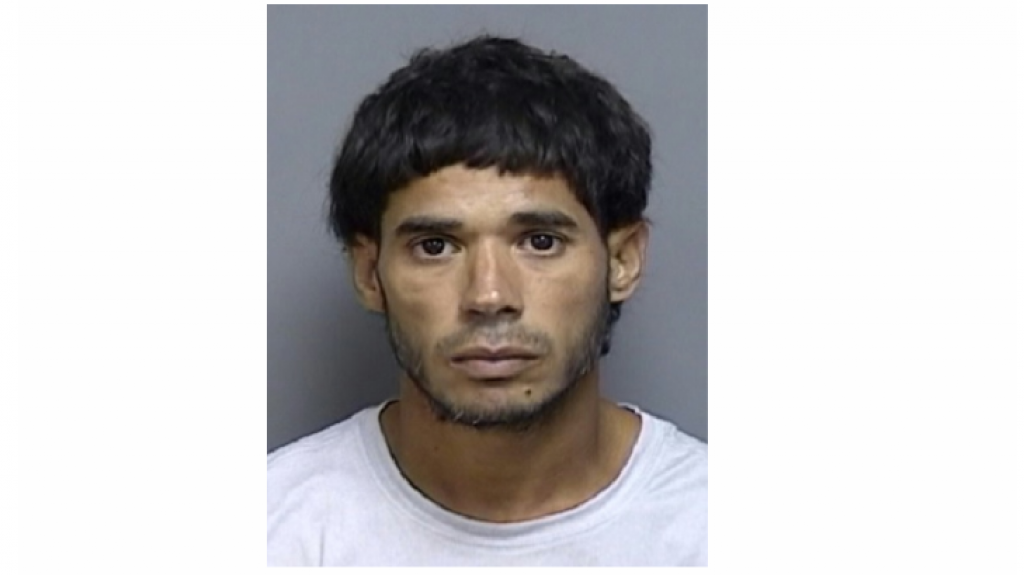  A la c&aacute;rcel por agredir con pu&ntilde;os en la cara a una mujer en Guayama 