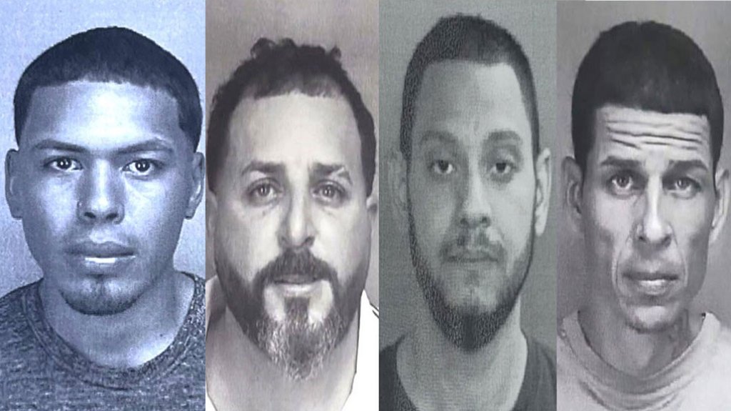  4 arrestados por violencia dom&eacute;stica en los pueblos de Morovis, Vega Alta y Bayam&oacute;n 