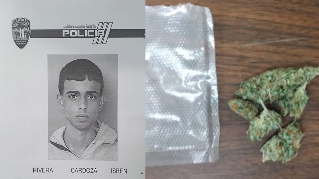  Causa y fichado uno de los dos hermanos arrestados en Mayag&uuml;ez con varias &ldquo;Mo&ntilde;itas&rdquo; de marihuana 