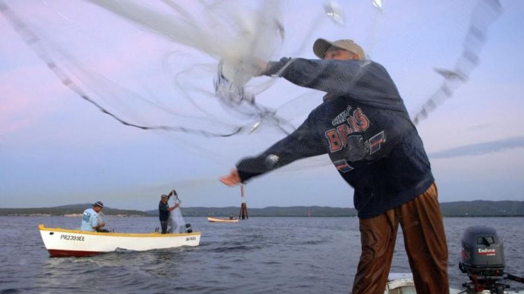  DRNA advierte que vedas siguen vigentes y violadores se exponen a multas de mínimo cien dólares por cada espécimen capturado 