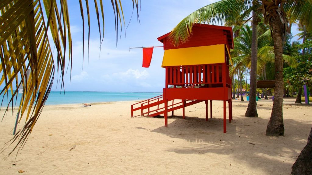  Identifican a turista que muri&oacute; ahogado en playa de Luquillo 
