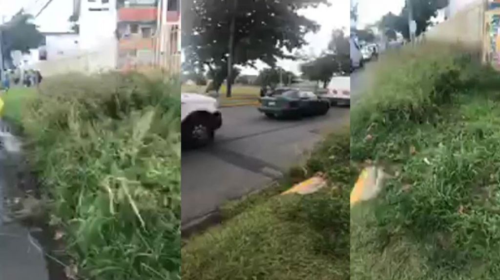  Publican otro video para la alcaldesa de San Juan Carmen Yulin 