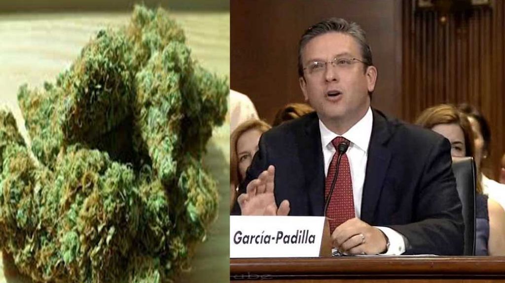  Garc&iacute;a Padilla entre boricuas que viajar&aacute;n a Quisqueya para foro sobre cannabis medicinal 