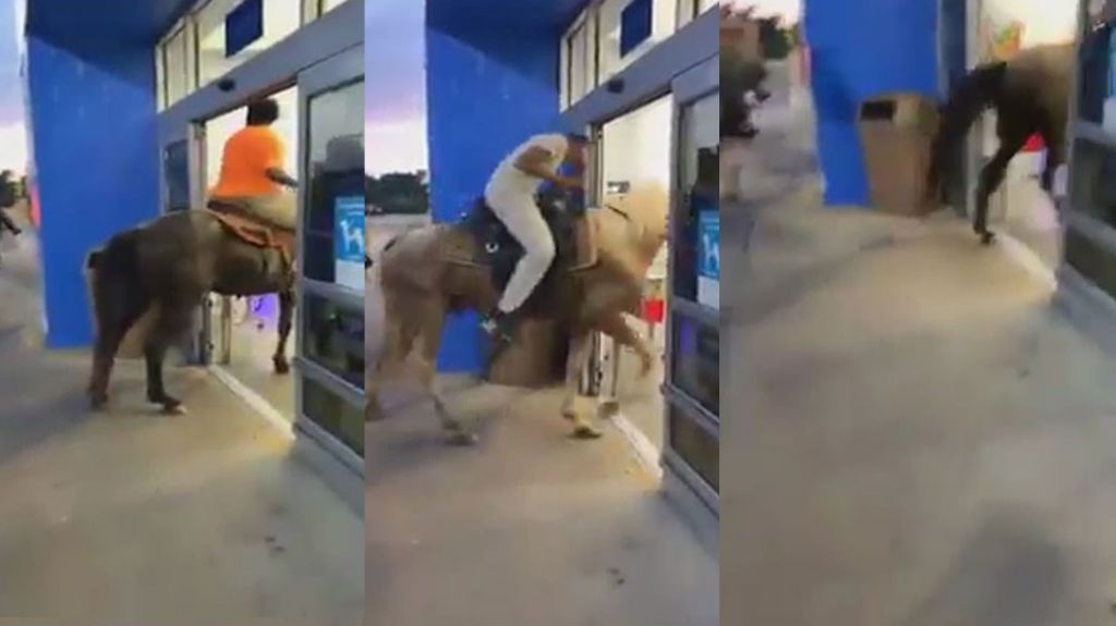  Video: Estaban en una cabalgata y entraron con todo y caballos a Walmart 