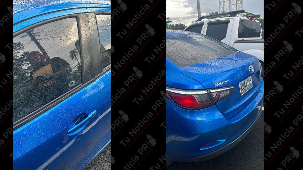  Municipales de San Juan arrestan a conductor que le dispar&oacute; a una mujer luego de un accidente 