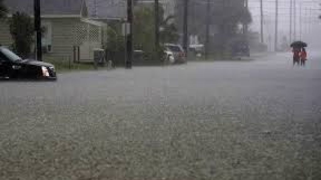  Vea video: Cierran colegios por lluvias en el estado mexicano de Baja California Sur 