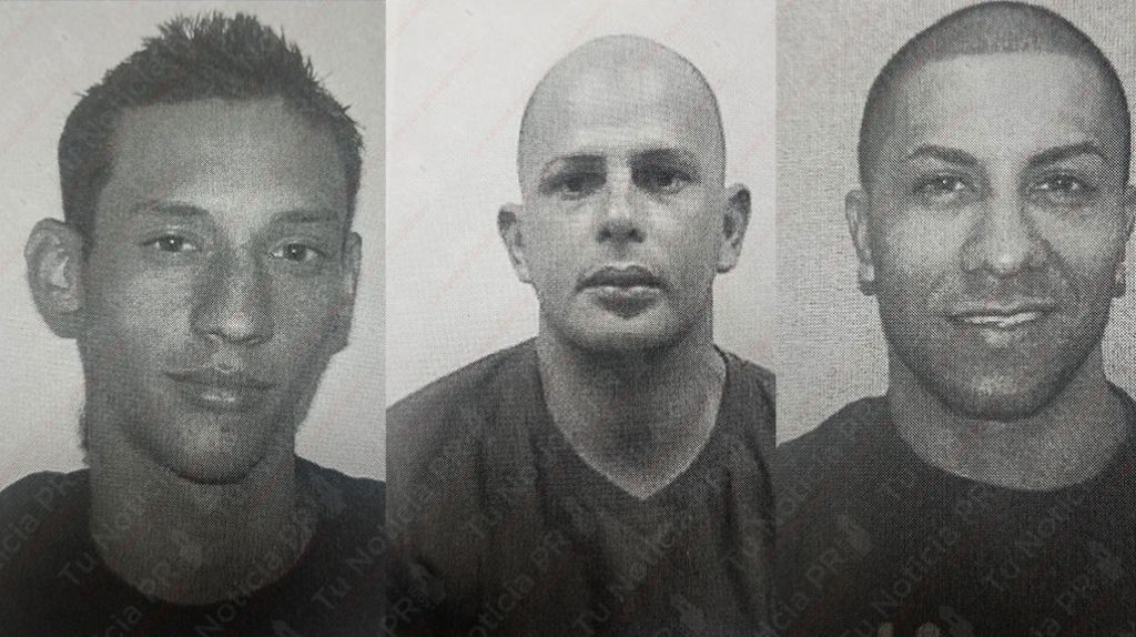  Arrestan dos empleados de “Máximo Solar” quienes juntos a un cliente robaron placas solares 