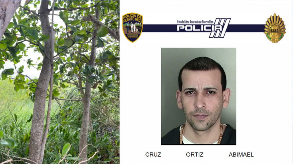  Publica video del tiroteo en Arecibo que dej&oacute; un hombre muerto 