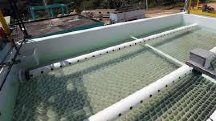 Fuera de operaciÃ³n Planta de Filtros de Quebrada de Camuy de la AAA