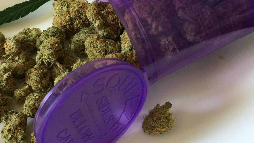  Psiquiatras opuestos a enmiendas al reglamento para uso del cannabis en niños y adolescentes 