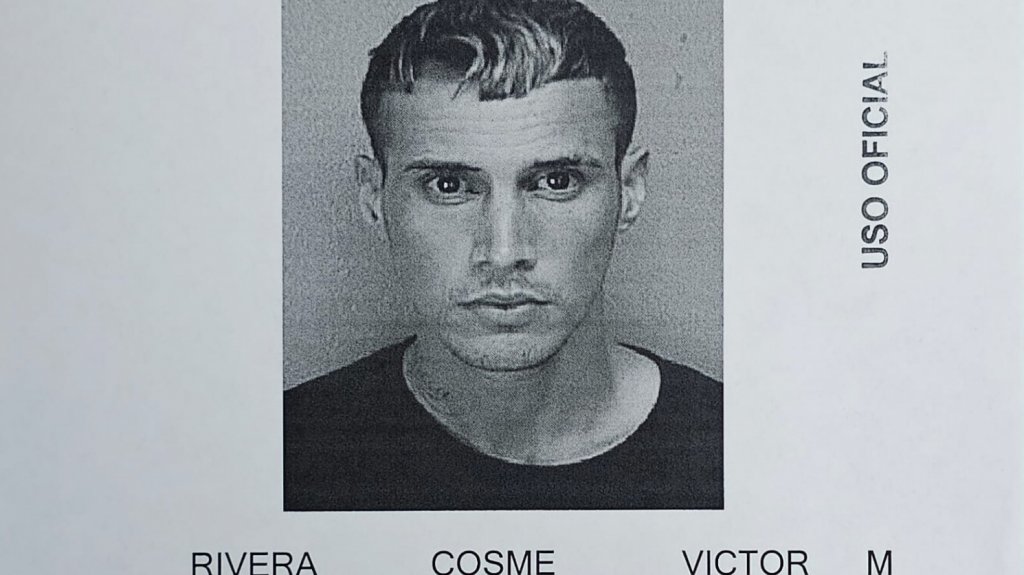  Arrestan en Toa Alta hombre buscado por Ley 54 