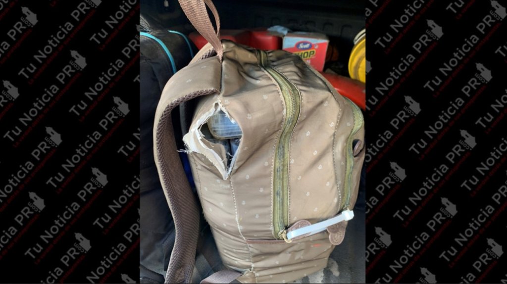  CBP confisca 82 kilos de coca&iacute;na en mochilas a bordo de barco de carga en San Juan 