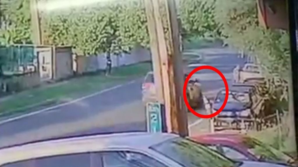  Video: Momento en que conductor impacta fatalmente peat&oacute;n en Aguada y se da a la huida 