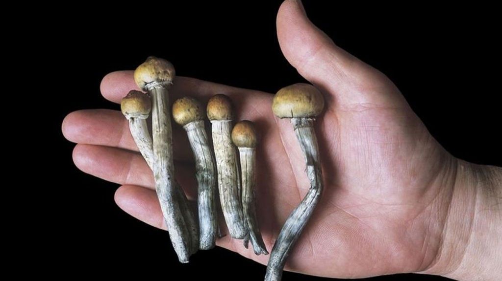  Denver quiere ser la primera ciudad de EEUU en legalizar hongos alucin&oacute;genos 