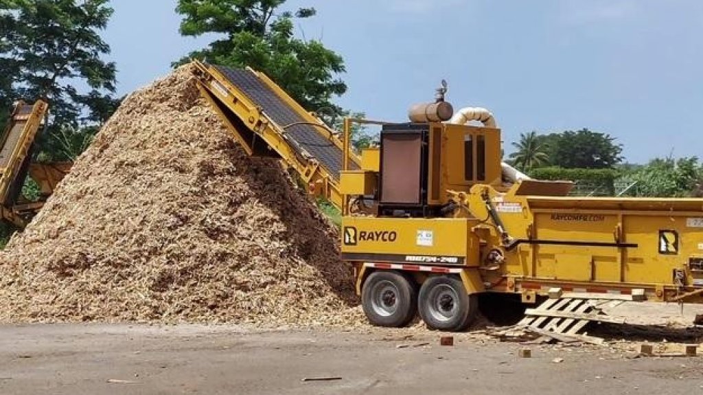  AAA inicia reciclaje de árboles de navidad en planta de composta en Mayagüez 