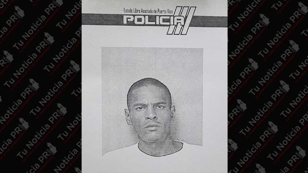 A la cÃ¡rcel por robar un caballo a mano armada de residencia en Las Piedras 