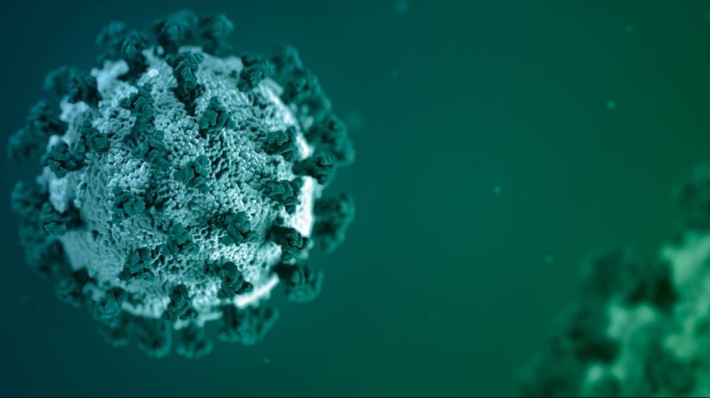  A 11.96 la tasa de positividad por COVID-19 y una muerte según informe del DS 