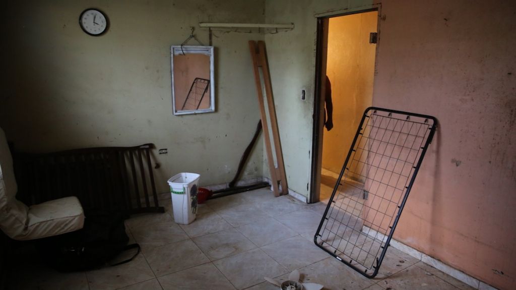  Puerto Rico tuvo un brote de leptospirosis tras el huracán María, pero el gobierno no lo dice 