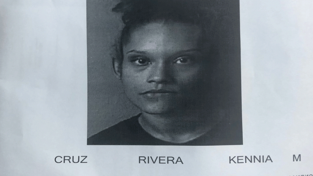  Andaba con un marbete &ldquo;Falso&rdquo; y agredi&oacute; una mujer polic&iacute;a en Fajardo 