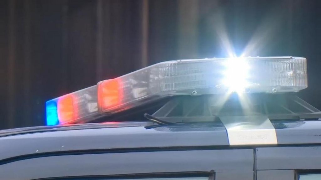  Hombre se suicida tras matar a su hermano por error, quer&iacute;a dispararle a un oso 