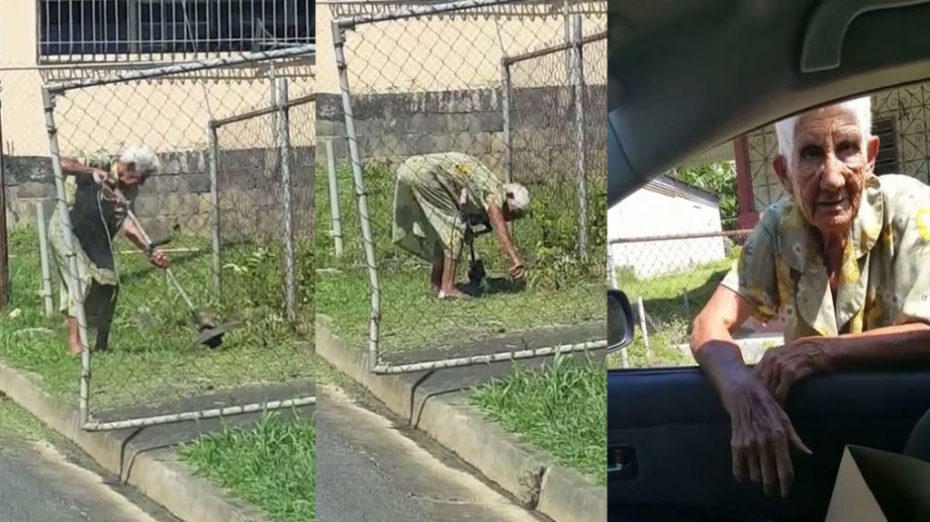 Video: Maestra jubilada tiene 86 a&ntilde;os y pasa el &ldquo;Trimer&rdquo; para limpiar su patio como si nada 