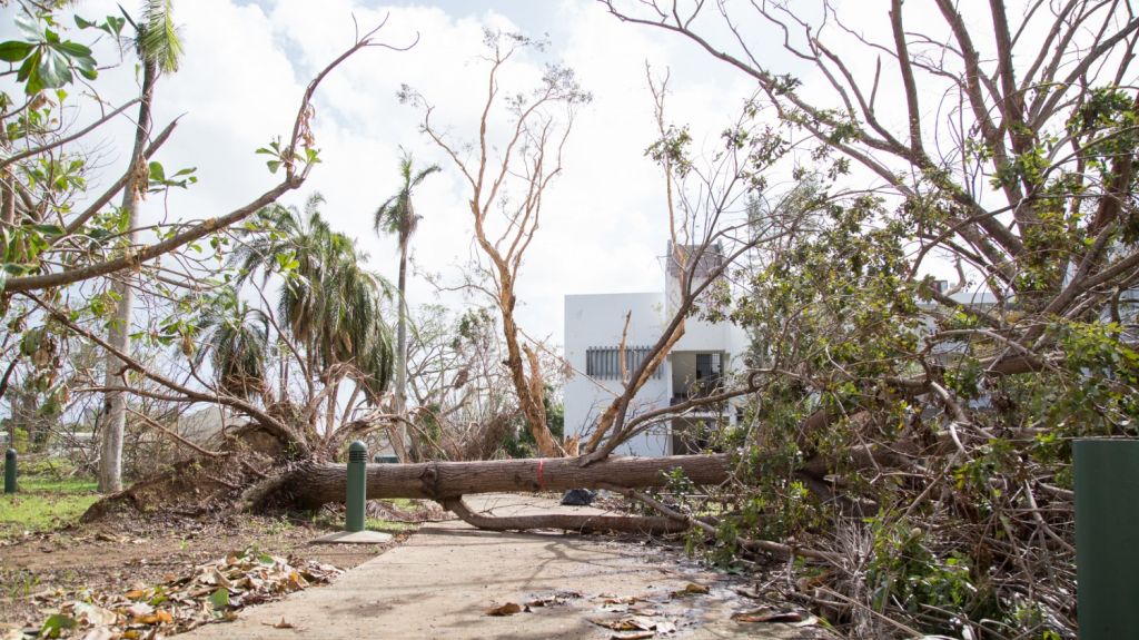  Experto discutir&aacute; el impacto del hurac&aacute;n Mar&iacute;a en el pa&iacute;s 