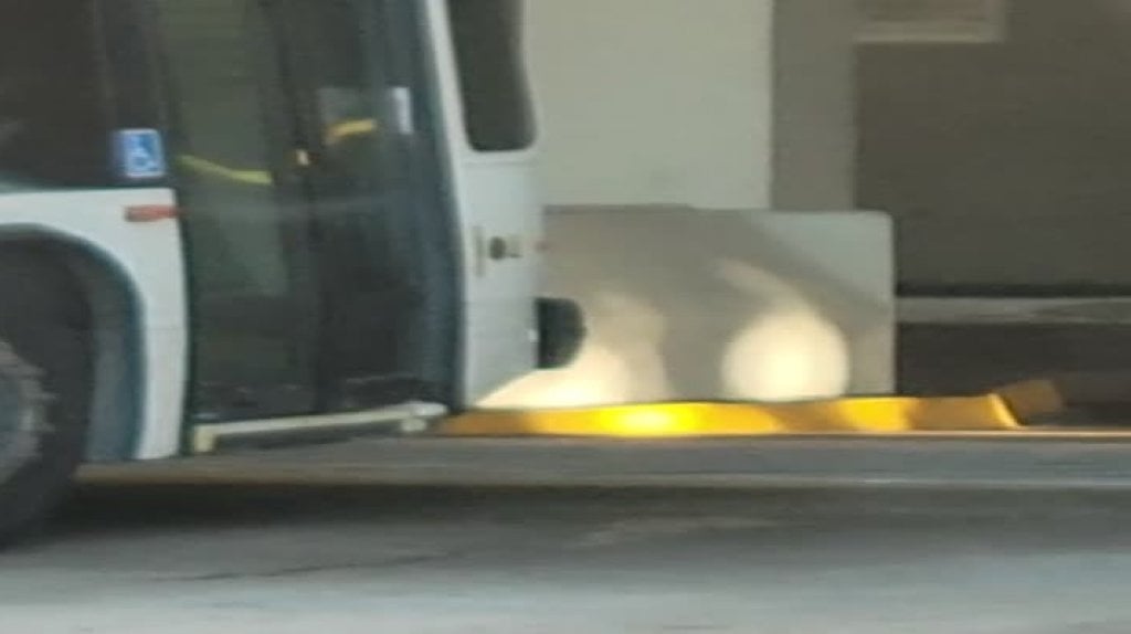  En video: Turista decide “hacer sus necesidades” frente a la guagua de la AMA en San Juan 