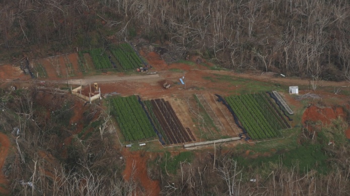 Departamento Agricultura de EE.UU. presentarÃ¡ ayudas para sector en Puerto Rico