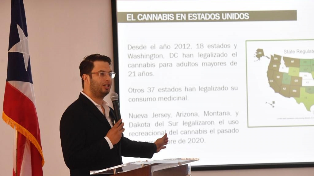  Presentan proyecto para crear marco regulatorio del cannabis 