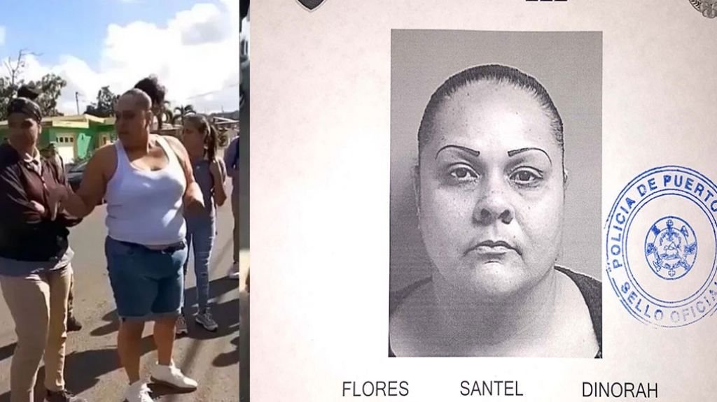  Video: Fichada y presa mujer que &ldquo;echo&rdquo; a pelear dos estudiantes en escuela de Juncos 