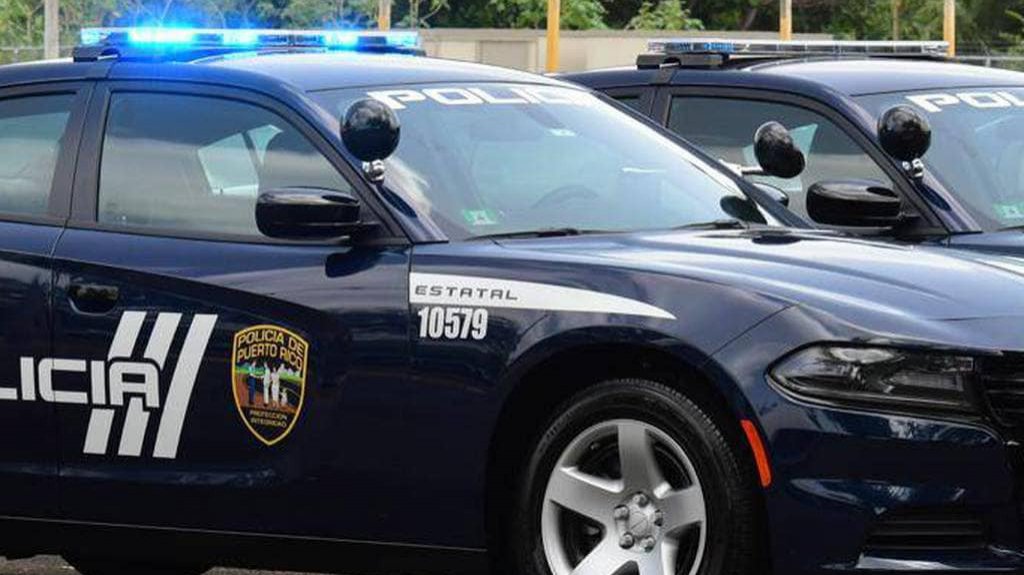  Reabren tramo de la PR-53 por accidente con vacas 