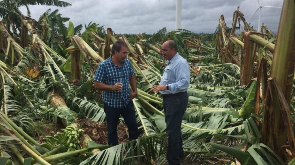  Agricultura anuncia la apertura del per&iacute;odo para asegurar la producci&oacute;n agr&iacute;cola durante la Temporada de Huracanes 