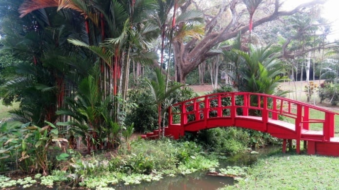 UPR hace exhortaciÃ³n al trabajo voluntario para restaurar y reabrir el JardÃ­n BotÃ¡nico