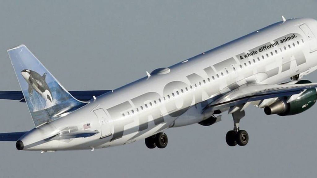  Hombre golpea a embarazada sorda y a su perro gu&iacute;a en un avi&oacute;n que iba a Orlando 