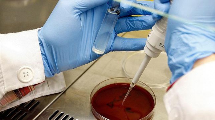 Â¡TU ADN PUEDE APARECER EN EL ARMA USADA PARA COMETER UN CRIMEN, AUN SI NUNCA LA HAS TOCADO!