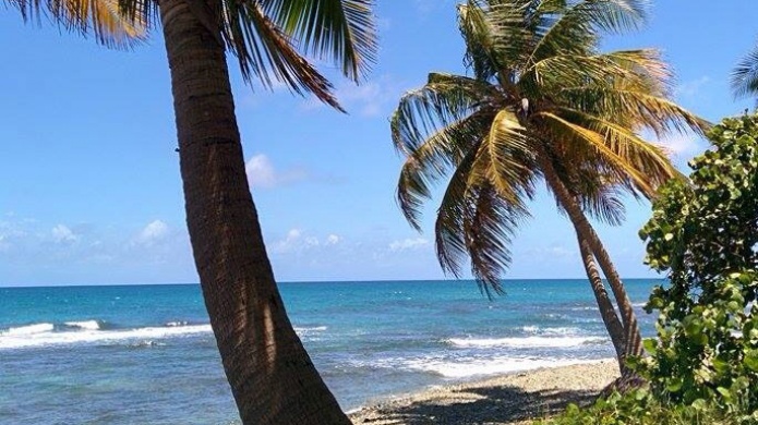 En el Tiempo: Fallos en pronÃ³sticos, interpretaciÃ³n y acciÃ³n ciudadana. 