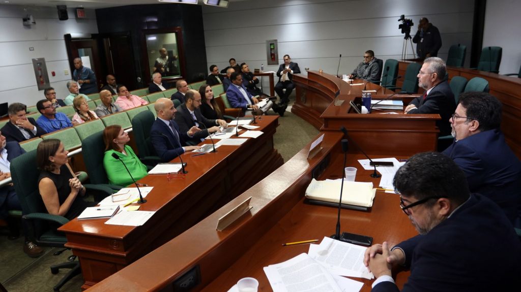  Director de AAPP defiende proceso de inversi&oacute;n en infraestructura de cruceros 