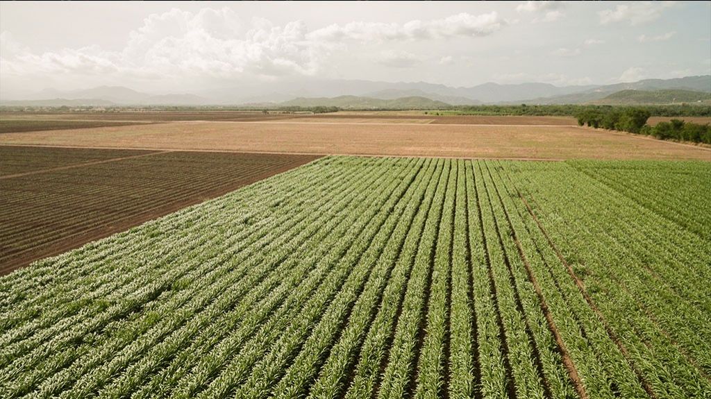  Identificados los subsidios que el Gobierno propone eliminar 