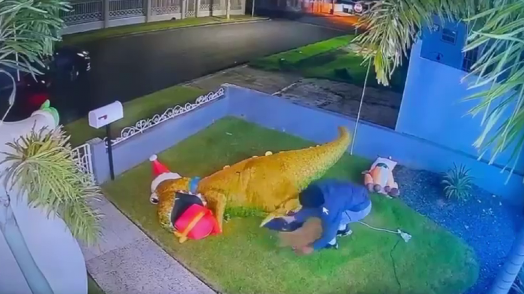  Video: &ldquo;Cacos Boricuas&rdquo; roban inflable navide&ntilde;o en Bayam&oacute;n 