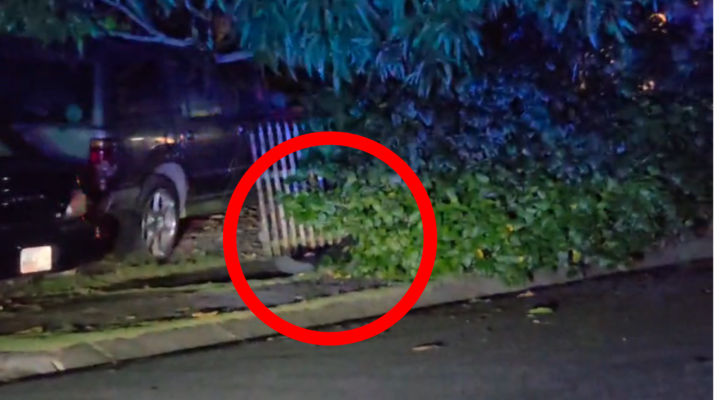  Video: Un menor de 15 a&ntilde;os asesinado en Bayam&oacute;n, otro menor detenido por los hechos y una mujer polic&iacute;a herida 