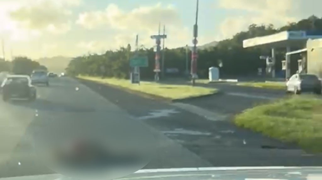  Video: Identifican a peat&oacute;n arrollado la ma&ntilde;ana de ayer en Luquillo 