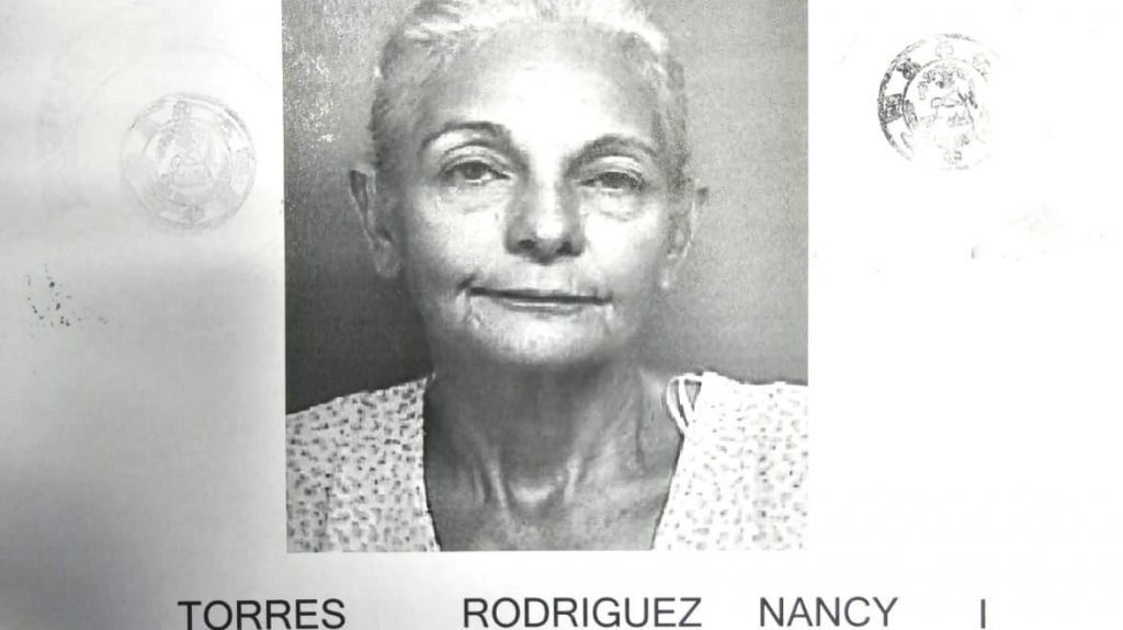  Radican cargos contra sexagenaria por mantener a 10 perros en condiciones paup&eacute;rrimas en Toa Alta 