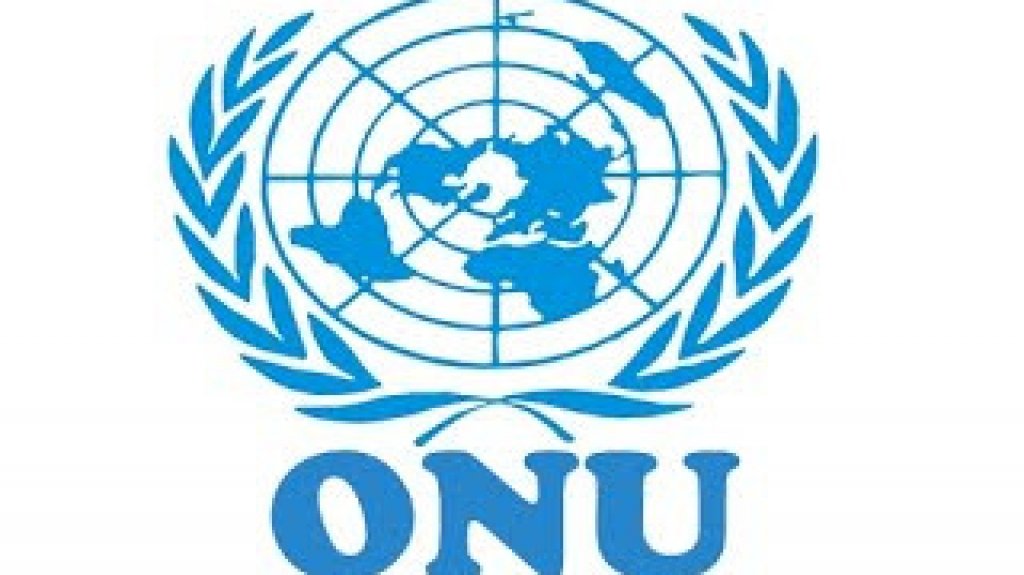  Comit&eacute; de Descolonizaci&oacute;n de la ONU aprueba por en&eacute;sima vez una resoluci&oacute;n a favor de la libre determinaci&oacute;n del pueblo de Puerto Rico y a su descolonizaci&oacute;n 