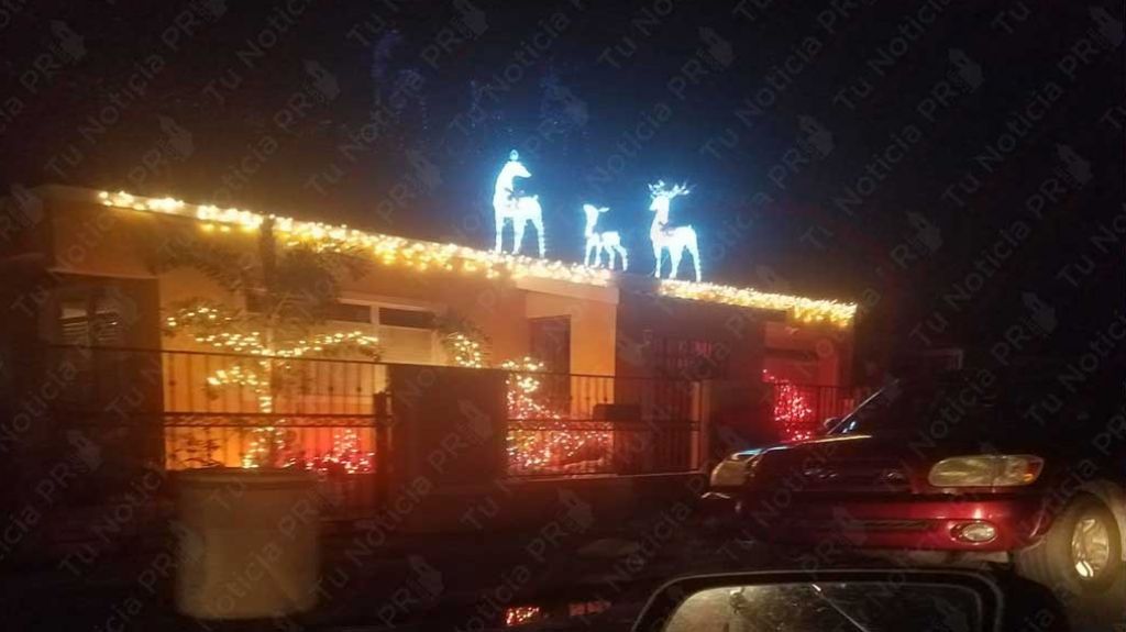 Boricuas que no se dejan, prenden la navidad con planta en Rio Piedras 