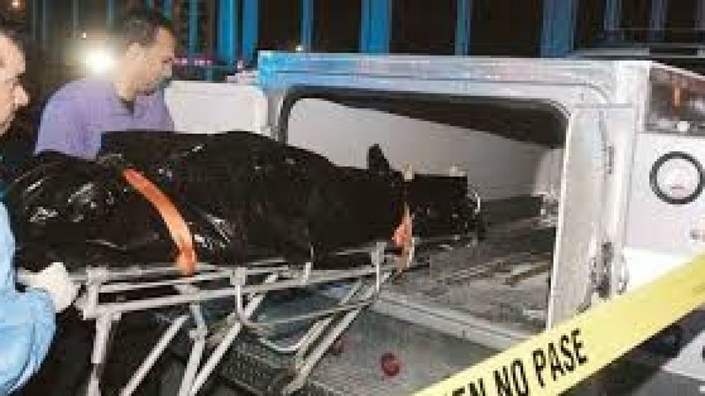  Directora interina NCF admite no tienen suficiente personal 