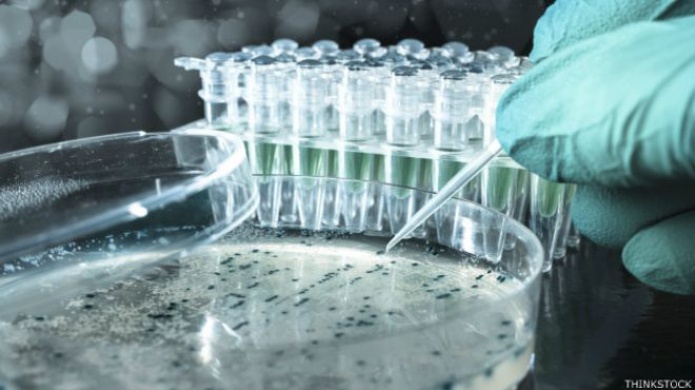 Â¿RompiÃ³ China el tabÃº de la modificaciÃ³n genÃ©tica de embriones humanos?