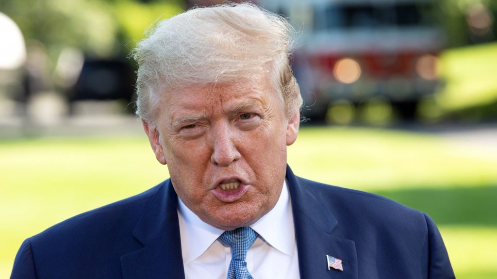  Trump afirma que estudia retomar parte de la financiaci&oacute;n de EEUU a la OMS 